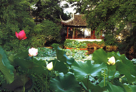网师园园景：荷花池中倒影亭台与临水建筑
